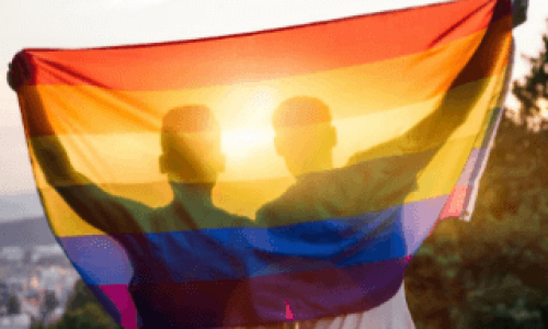Webinar: Dia do Orgulho LGBTQIA+